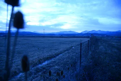 DSC_0954 (Large).JPG